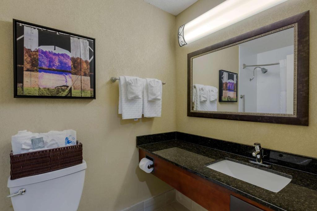Best Western Plus Wooster Hotel & Conference Center (Wooster) 